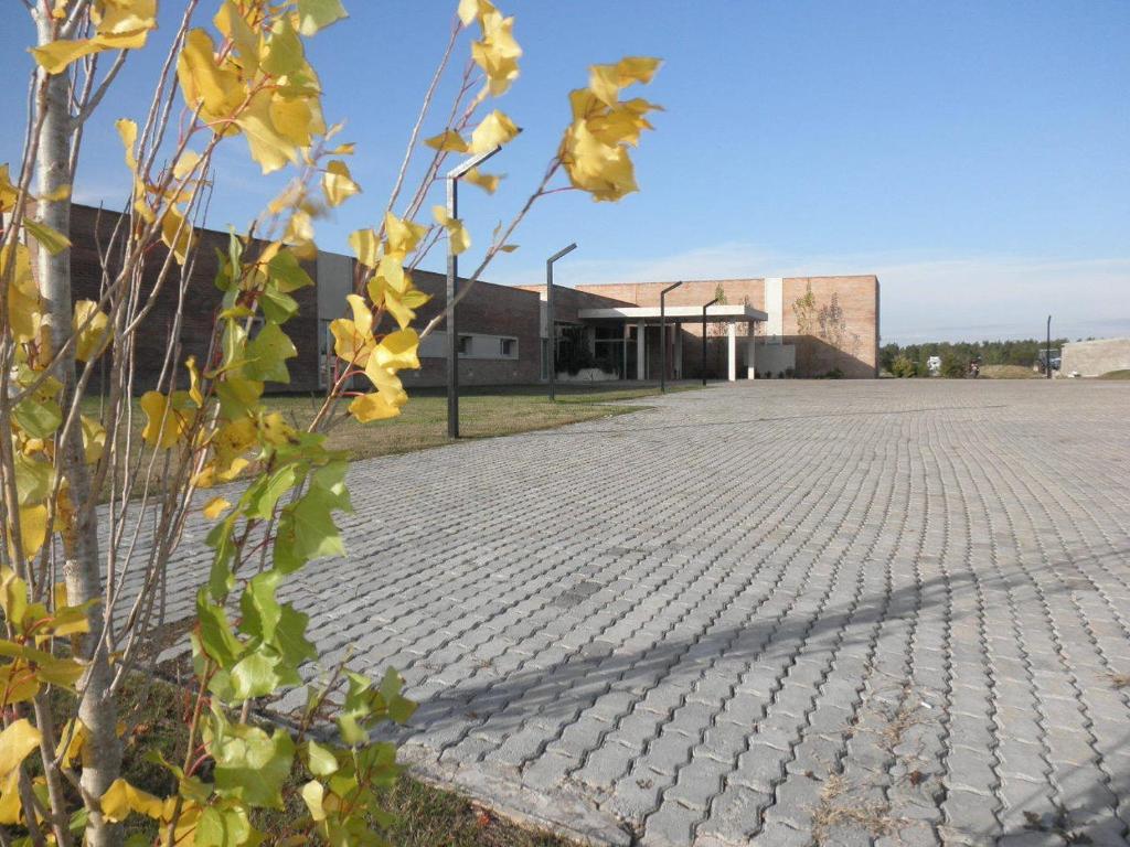 Hotel Juana De Ibarbourou Melo Exterior foto