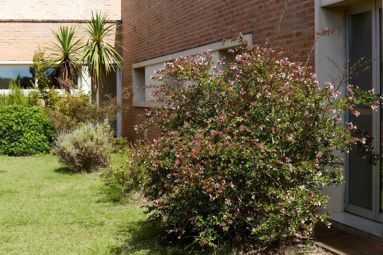 Hotel Juana De Ibarbourou Melo Exterior foto